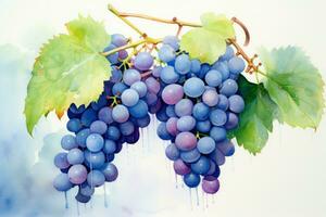 Imaginative Blue grape watercolor. Generate Ai photo