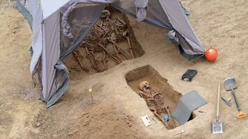 arqueológico local com esqueleto dentro sepultura dentro Boa condição a partir de arqueológico escavações do mundo guerra dentro Europa. 4k Alto qualidade lento movimento cru cenas video