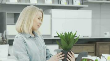 Beautiful woman smiling to the camera holding potted aloe at furnishings store video