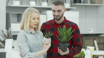 jovem casal comprando em vaso plantas às mobília loja video