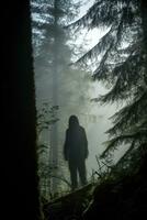 Sasquatch silhouette sighted in dense woodland at the break of dawn photo