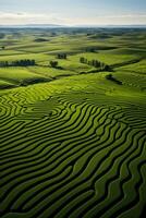 Aerial view of intricate crop circles and patterns on lush farmland photo