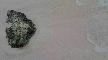 roccia nel il superficiale acque di un' teluk asmara spiaggia nel est Giava con piccolo onde video