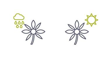 Flower with rain and Flower  Icon vector