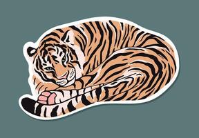 the tiger lies curled up. beautiful modern vector illustration for postcard, banner, poster, book or any design. isolated by layers.