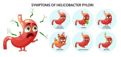 Helicobacter pylori symptoms infographic with cartoon stomach characters vector