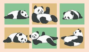 Cute Cartoon adorable lazy pandas lying down Illustration Set vector