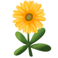 a cartoon flower with leaves and a brown spot png