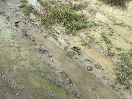 the ground of a muddy texture photo
