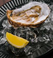 Fresh french appetizer oysters on ice with lemon photo