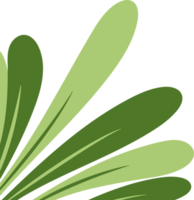 Fresh Tropical Leaf Corner Border png