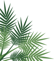 Fresh Tropical Leaf Corner Border png