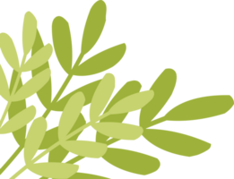 Fresh Tropical Leaf Corner Border png