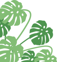 Frais tropical feuille coin frontière png