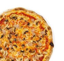 Tasty pizza with minced meat top view photo