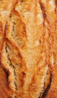 Whole oval loaf of wheat unleavened bread background photo