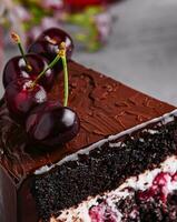 Chocolate cake with cherries and chocolate cream photo