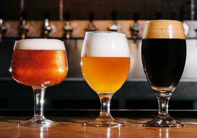 different types of craft beer in glasses on table in pub interior in daylight photo