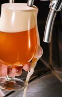barman torrencial Fresco cerveza dentro vaso en pub foto