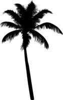 Palm tree silhouette isolated on white background. Vector Illustration.