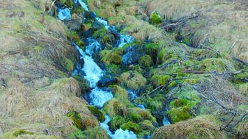 agua corriente desde islandés cascada corriendo abajo apagado de acantilado, río fluir que cae apagado montaña o colina en Reikiavik. majestuoso natural seljalandsfoss cascada en Islandia, nórdico escenario. foto