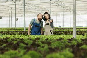 agricultores equipo preocupado acerca de bajo frondoso verduras rendimiento afectado por plagas, bajo suelo Fertilidad, caliente seco clima y agua escasez certificado orgánico eco simpático plantación invernadero foto