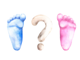 bébé empreintes bleu et rose pieds avec question marquer. aquarelle illustration main dessiner. le sexe révéler fête garçon ou fille, nouveau née fête, content anniversaire carte imprimer. png