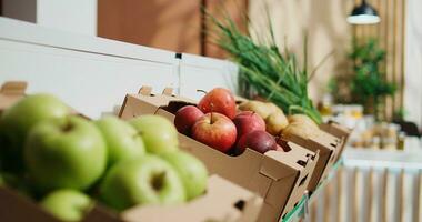 Close up shot of freshly harvested chemicals free fruits and vegetables on zero waste supermarket shelves. Organic food in empty low carbon footprint local neighborhood grocery store photo