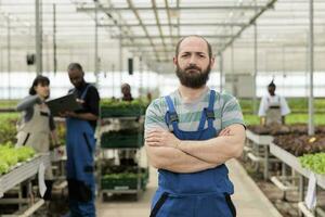 Farm worker in sustainable eco friendly organic greenhouse leading group of farmers. Natural local pesticide free leafy greens crop rows grown using nonGMO natural fertilizer photo