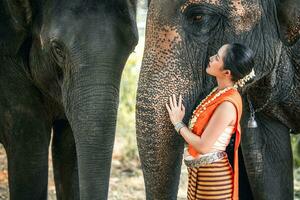 tailandés dama hermosa vendaje tradicional del Norte estilo con elefantes representar relación Entre asiático personas y elefante foto