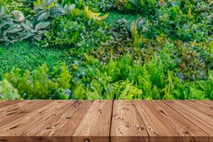 Green plant foliage mix garden fresh ecology with blacnk wood floor table for graphic advertising montage background photo