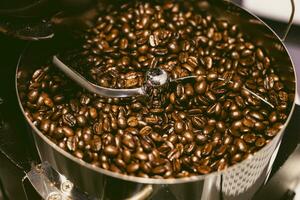 coffee beans dark oily roast aroma roasting in roastery. coffee bean roaster closeup cooling end roasting phase. cafe beverage industry photo