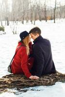 al aire libre invierno retrato de de moda contento joven Pareja en amor sentado en Iniciar sesión y abrazando en contra blanco parque antecedentes . foto