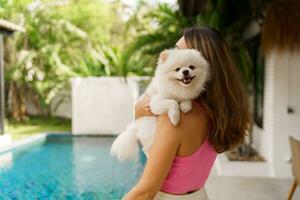 adorable juguete pomeranio perro en brazos de sus amoroso dueño. pequeño adorable perrito con gracioso piel con bonito mujer. tropical moder villa en antecedentes. foto