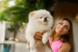 Adorable toy pomeranian dog  in arms of its loving owner. Small adorable doggy with funny fur with  pretty woman.  Tropical moder villa on background. photo