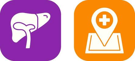 Liver and Location Icon vector