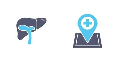 Liver and Location Icon vector