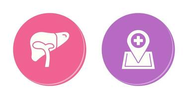 Liver and Location Icon vector