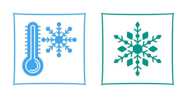 Snow Flake and Cold Icon