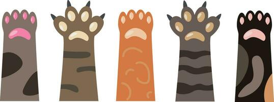 Vector set of cat paws