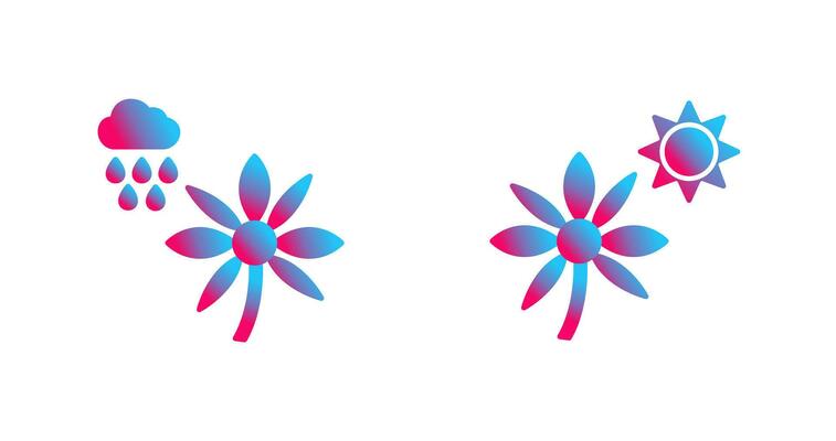 Flower with rain and Flower  Icon