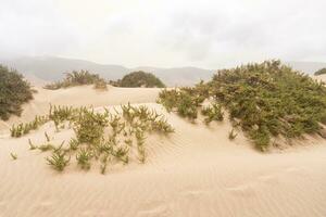 Sand dunes in Lanzarote photo
