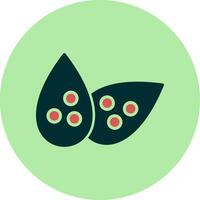 Lentils Vector Icon