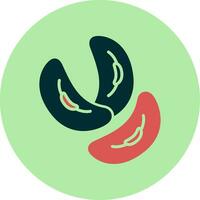 Kidney Bean Vector Icon