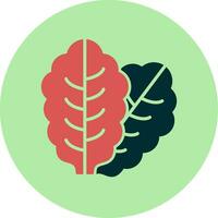 Lettuce Vector Icon