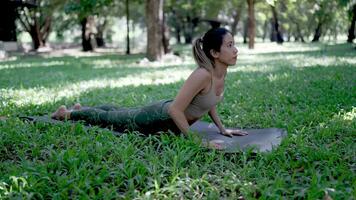 holistique santé dans le parc. yoga entraine toi pour le bien-être de asiatique femmes. video
