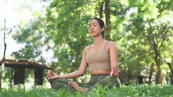 meditação dentro natureza.asiático mulher achando interior Paz dentro uma verde espaço video
