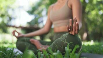 friedlich weiblich Achtsamkeit Meditation entspannend zum mental Gesundheit video