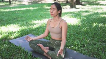 tranquilidad en naturaleza.mujer meditando a reducir estrés y encontrar equilibrar video