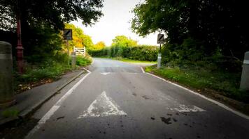 Herbst Fahrt durch heiter Wald Fahrbahn video